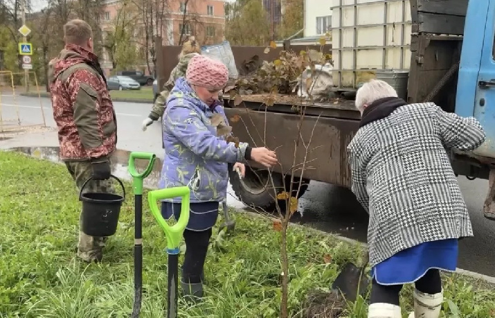 На улицах и в скверах Костромы высадили свыше тысячи молодых деревьев и кустарников