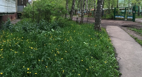 В Костроме проведено более 500 рейдов по контролю за окосом придомовых территорий 