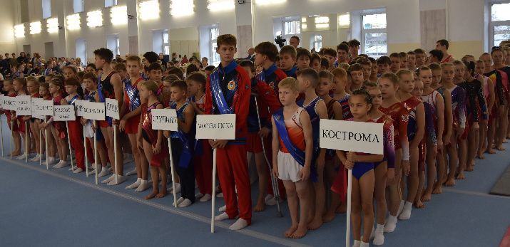Всероссийские соревнования по спортивной гимнастике соберут в Костроме больше 250 спортсменов