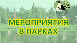Городские парки приглашают костромичей на кинопоказы под открытым небом