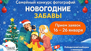В Костроме стартует семейный конкурс фотографий «Новогодние забавы»